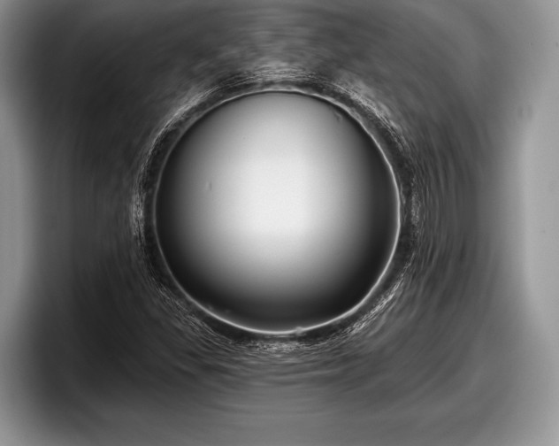 X0000097891309200803211347