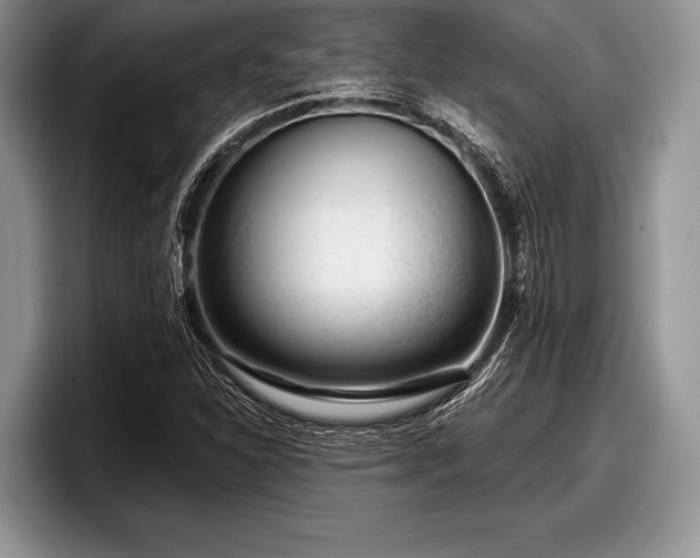 X0000097891310200803211347