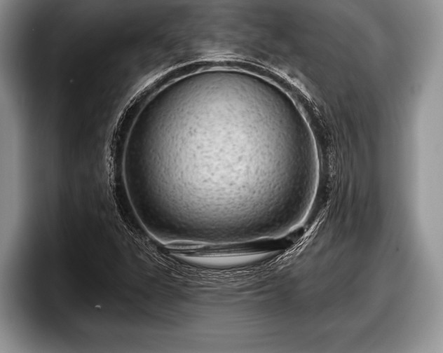 X0000097891311200803211347