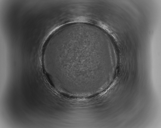 X0000097891312200803211347