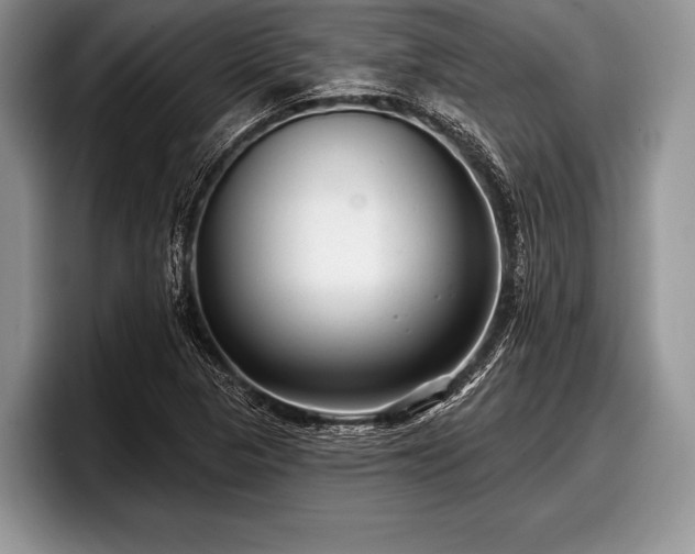 X0000097891313200803211347