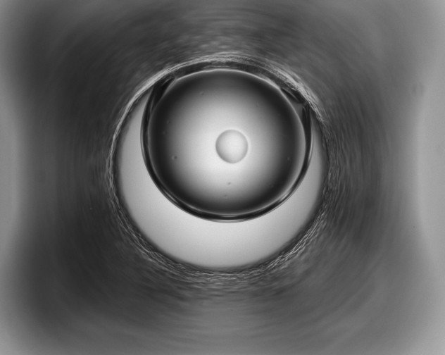 X0000097891316200803211347