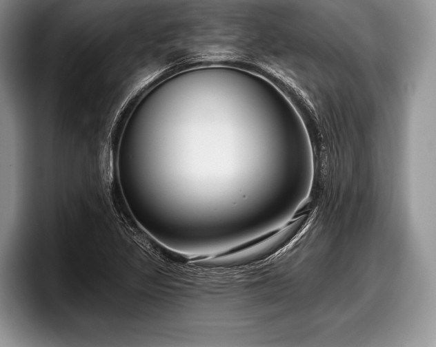 X0000097891317200803211347