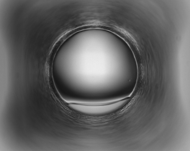 X0000097891318200803211347