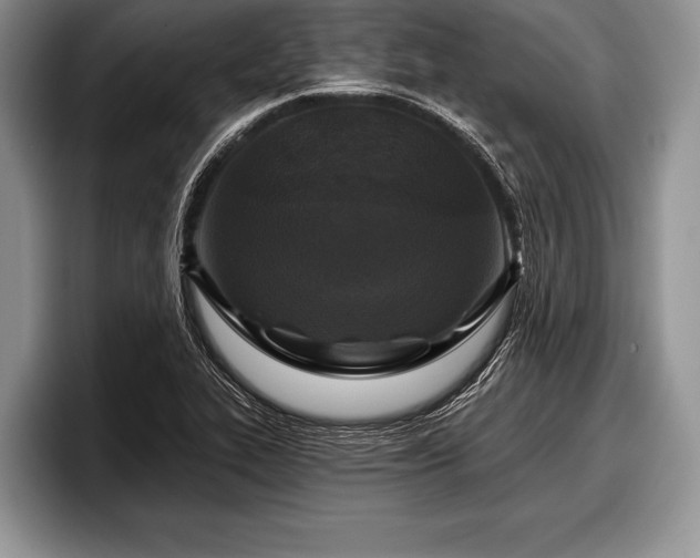 X0000097891319200803211347