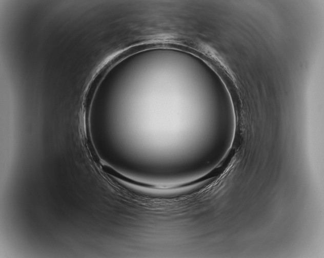 X0000097891320200803211347