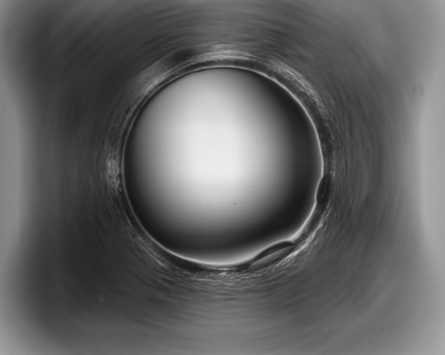 X0000097891321200803211347