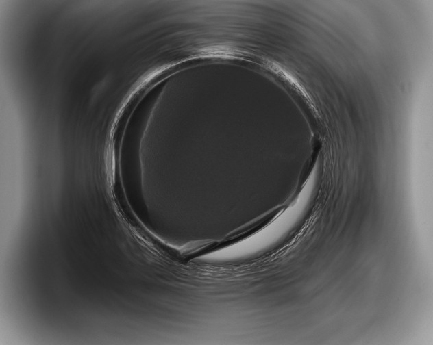 X0000097891323200803211347