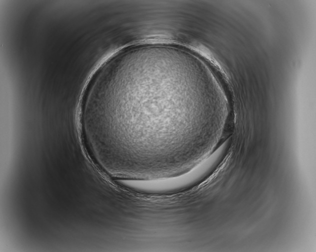 X0000097891325200803211347