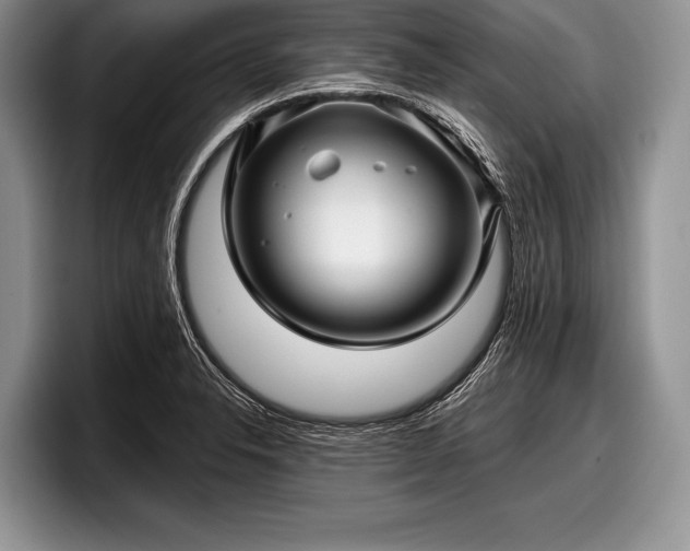 X0000097891326200803211347