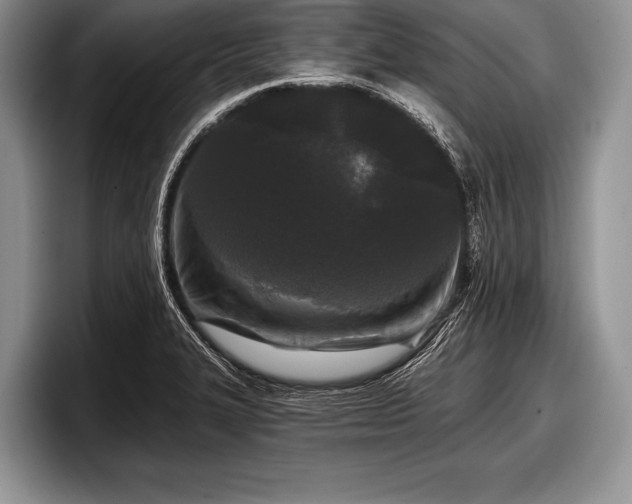 X0000097891327200803211347