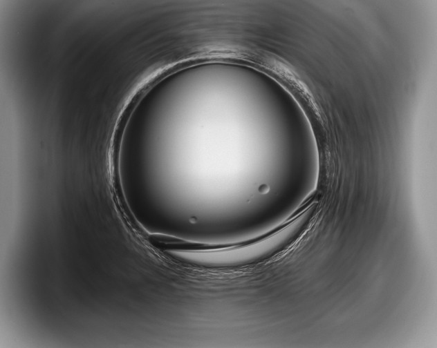 X0000097891328200803211348