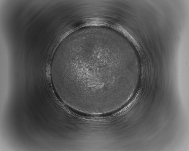 X0000097891329200803211348