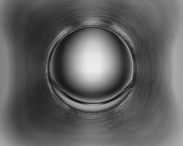 X0000097891330200803211348