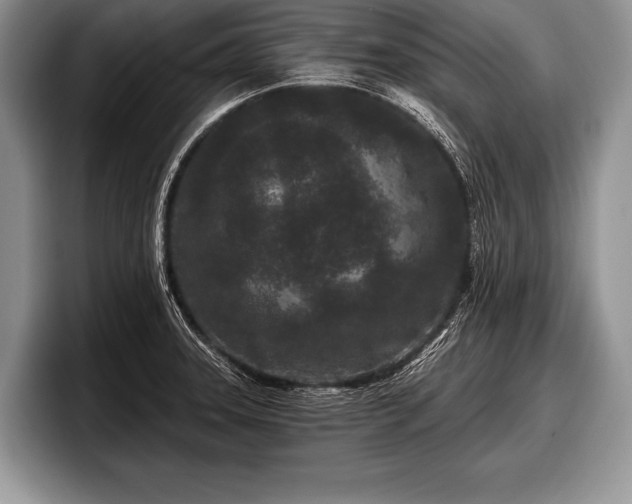 X0000097891331200803211348