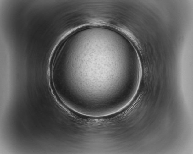 X0000097891335200803211348