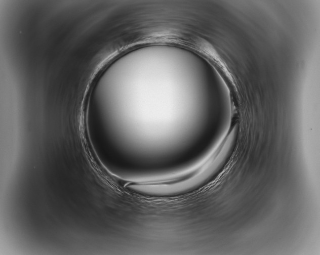 X0000097891336200803211348