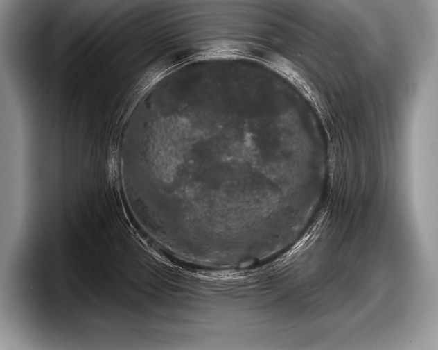 X0000097891337200803211348