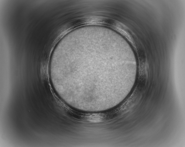 X0000097891338200803211348