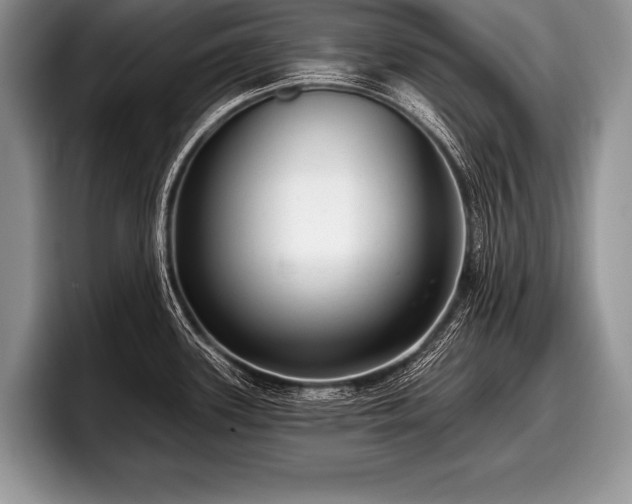 X0000097891339200803211348