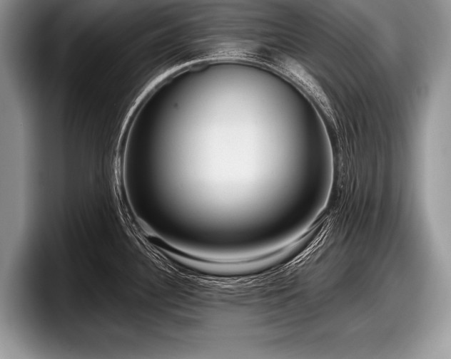 X0000097891340200803211348