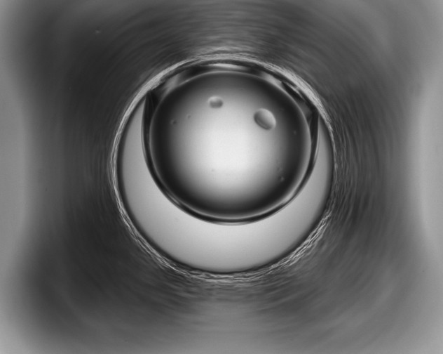 X0000097891341200803211348