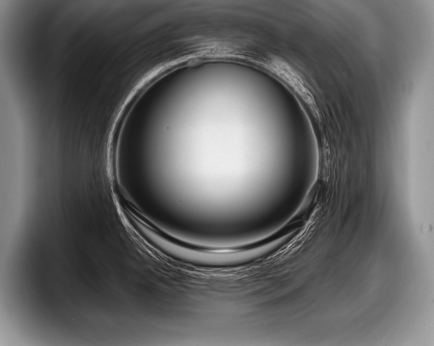 X0000097891342200803211348