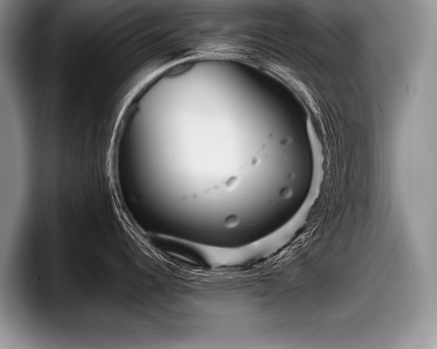 X0000097891344200803211348