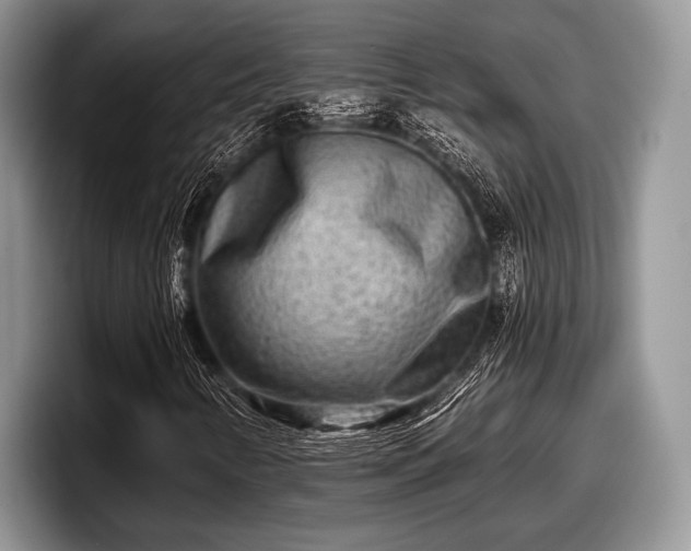 X0000097891346200803211347