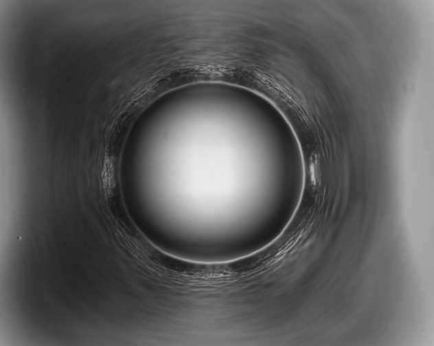 X0000097891347200803211347