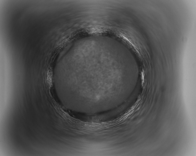 X0000097891348200803211347