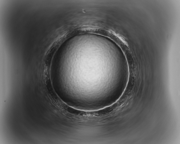 X0000097891351200803211347