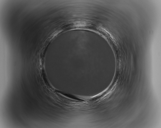 X0000097891353200803211347