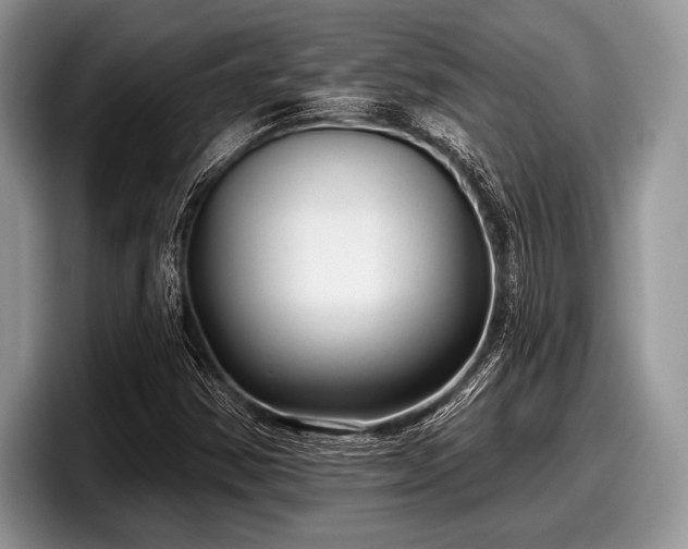X0000097891354200803211347
