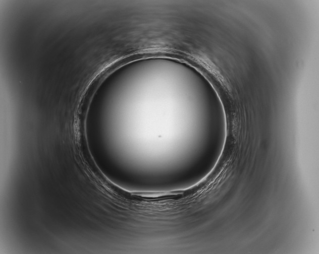 X0000097891356200803211347