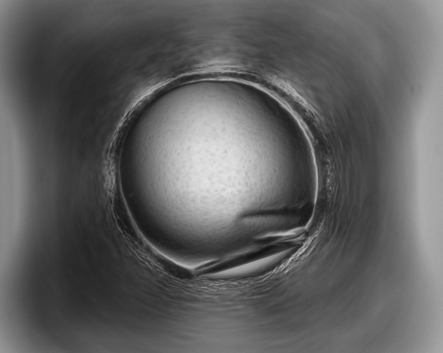 X0000097891358200803211347