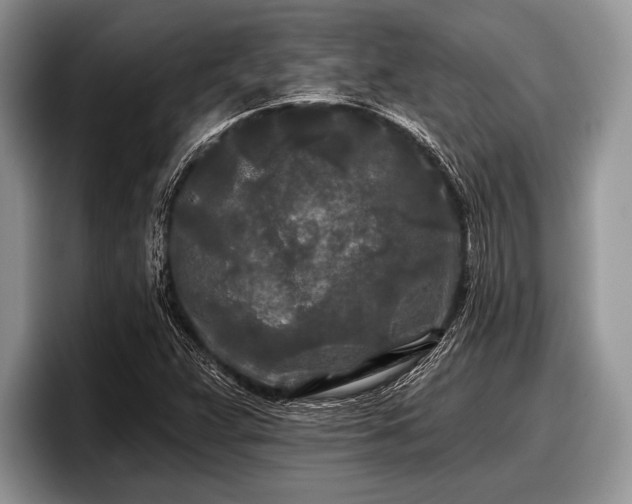 X0000097891359200803211347