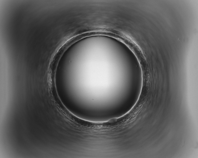 X0000097891360200803211347