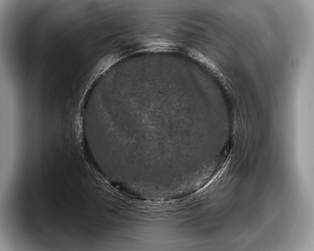 X0000097891362200803211347