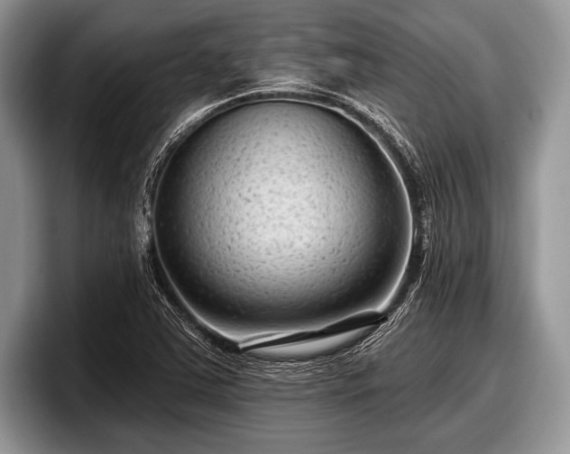 X0000097891363200803211347