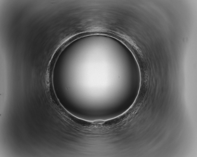 X0000097891364200803211347