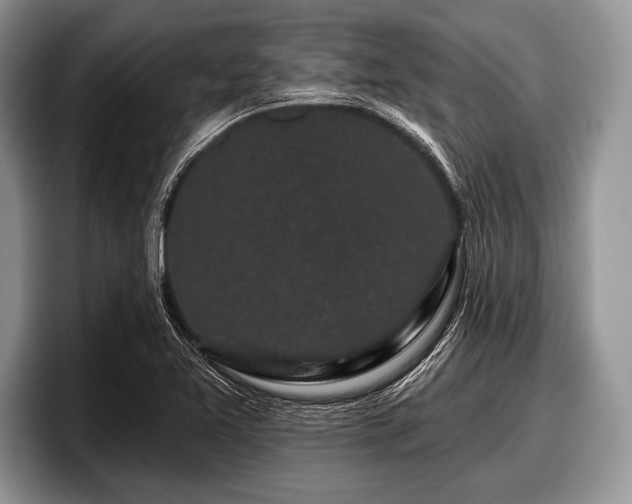 X0000097891365200803211347