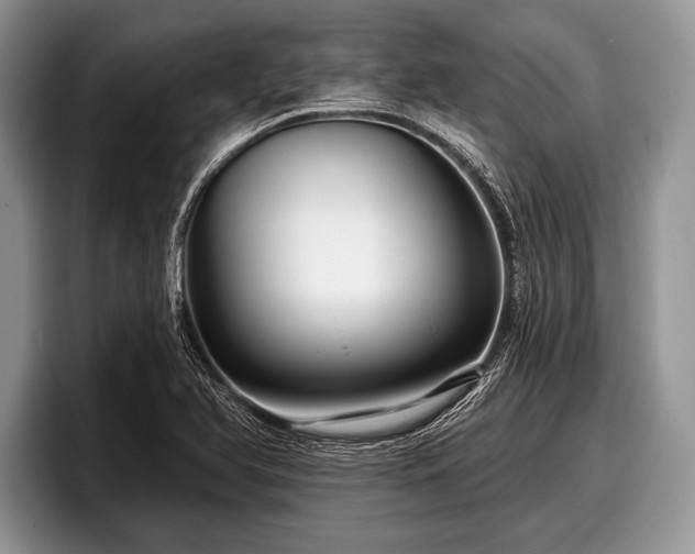 X0000097891366200803211347