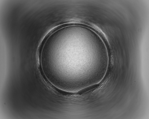 X0000097891368200803211347