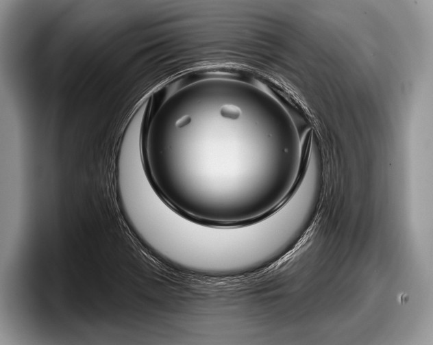 X0000097891369200803211347