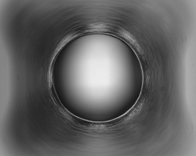 X0000097891370200803211347