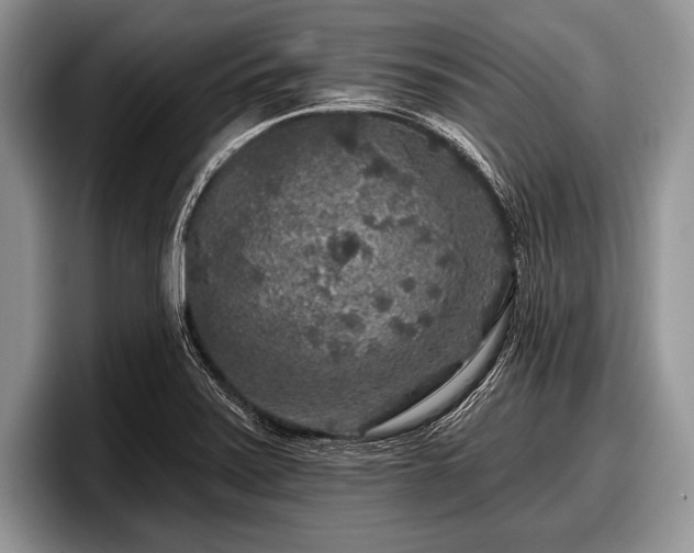 X0000097891371200803211347