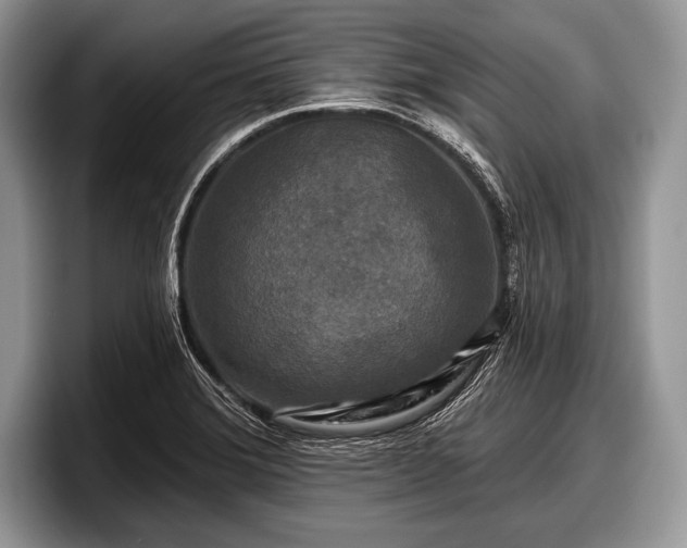 X0000097891372200803211347
