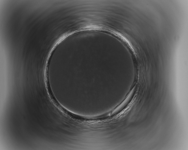 X0000097891373200803211347