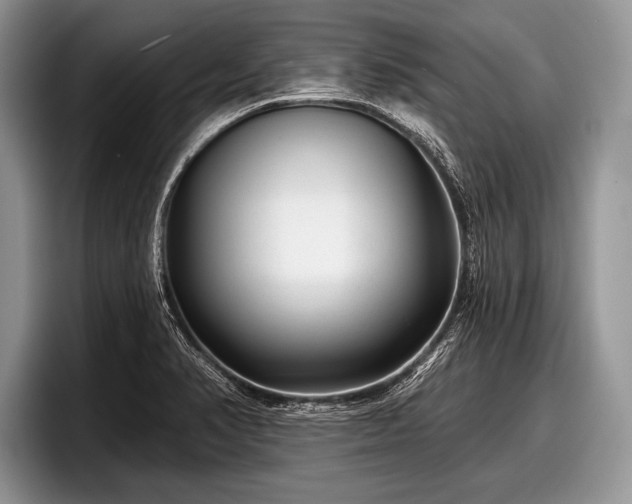 X0000097891374200803211347